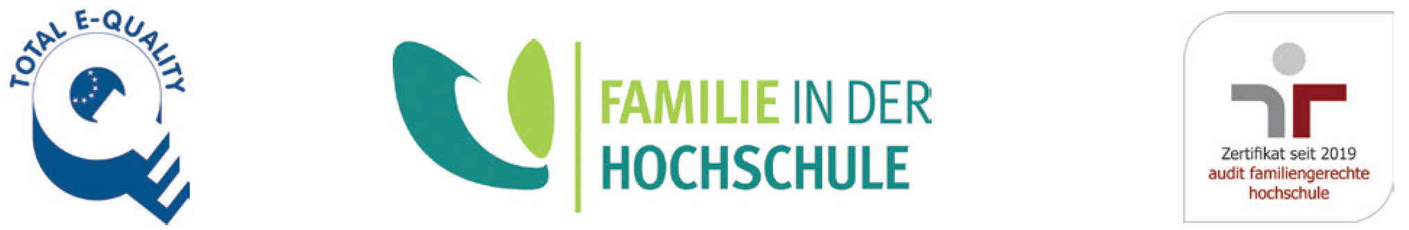 auditlogo